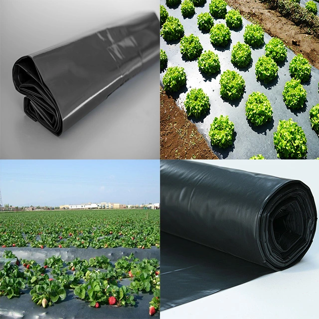 Reinforced Plastic Film Black Plastic Mulching Film Clear Plastic Protective Film