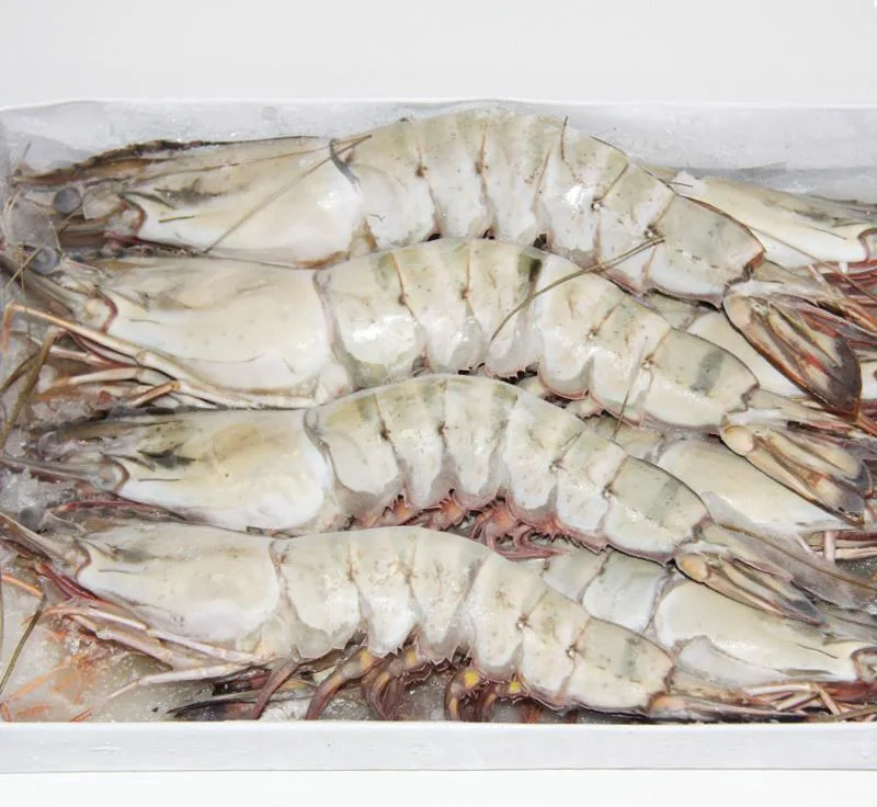 Multihead Weigher for Frozen Shrimp Produdcts