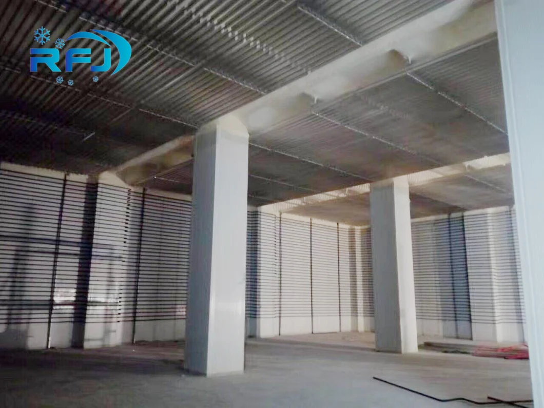 Professional Manufactory Large Commercial Frozen Cold Room for Meat and Sea Food