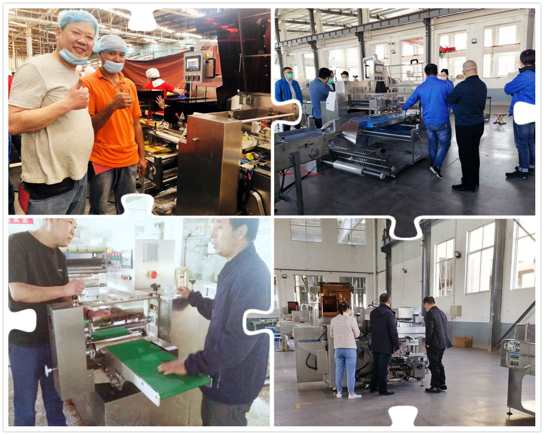 Qingdao Horizontal Flowpack Packaging Sealing Machinery for Frozen Shrimp Fish