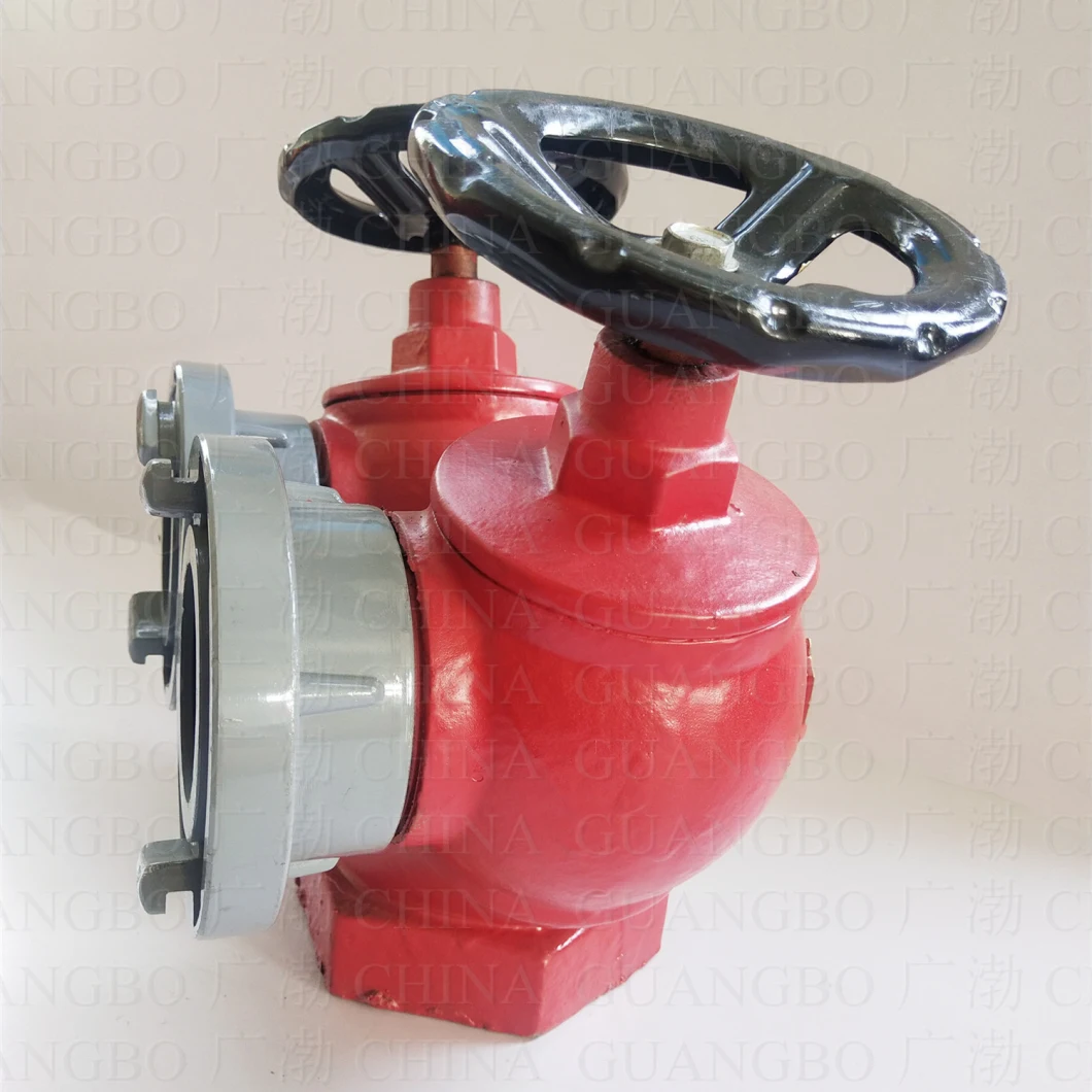 Snssw65-I Two Way Double-Valve Double-Outlet Pressure Reducing and Pressure Stabilizing Indoor Fire Hydrant