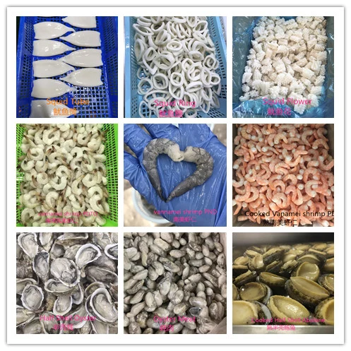 Supplier Sales Wholesale Clam Oyster Frozen Mussels Price