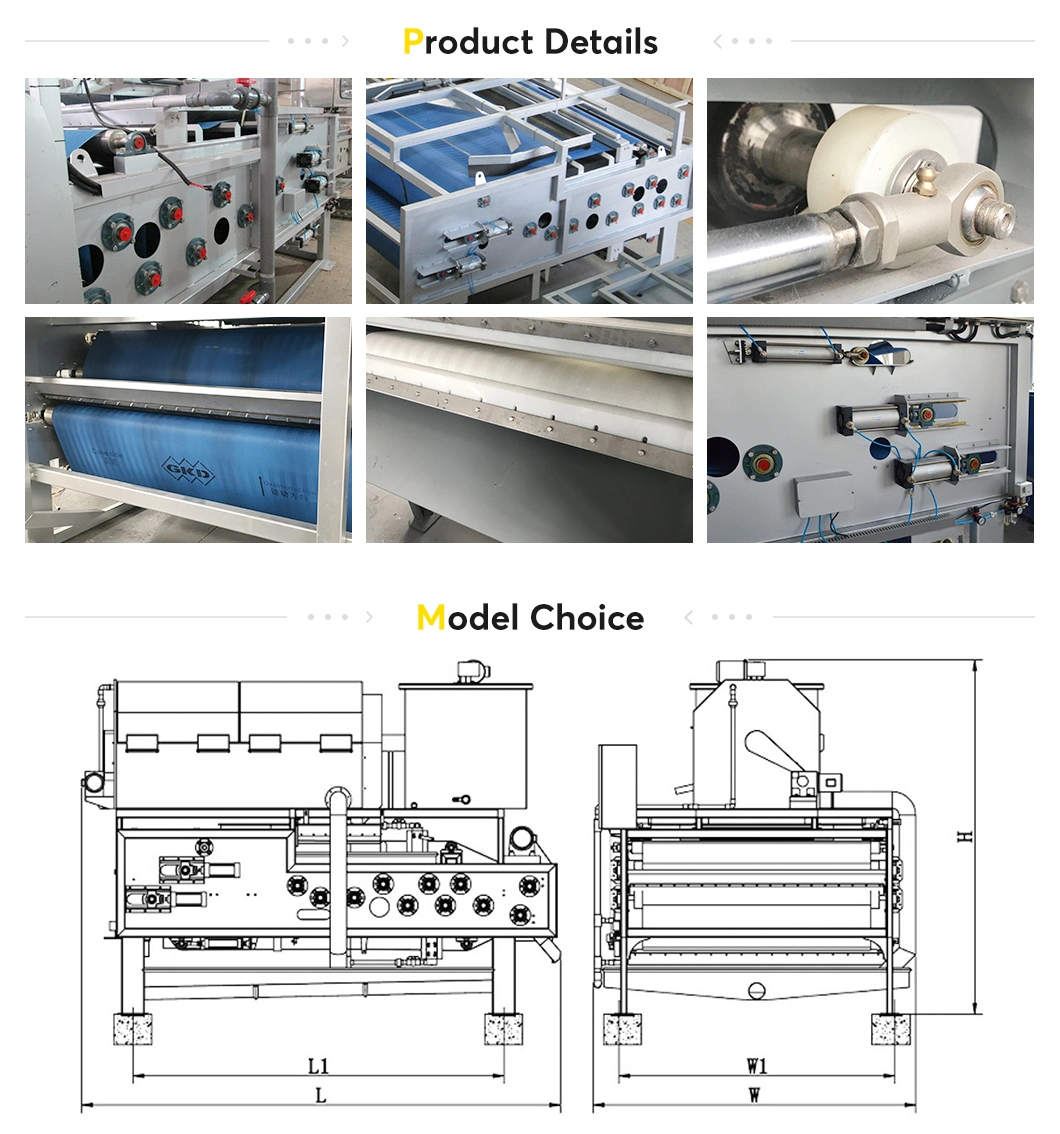 Sludge Dewatering Belt Press Used in Domestic Wastewater Treatment Plant
