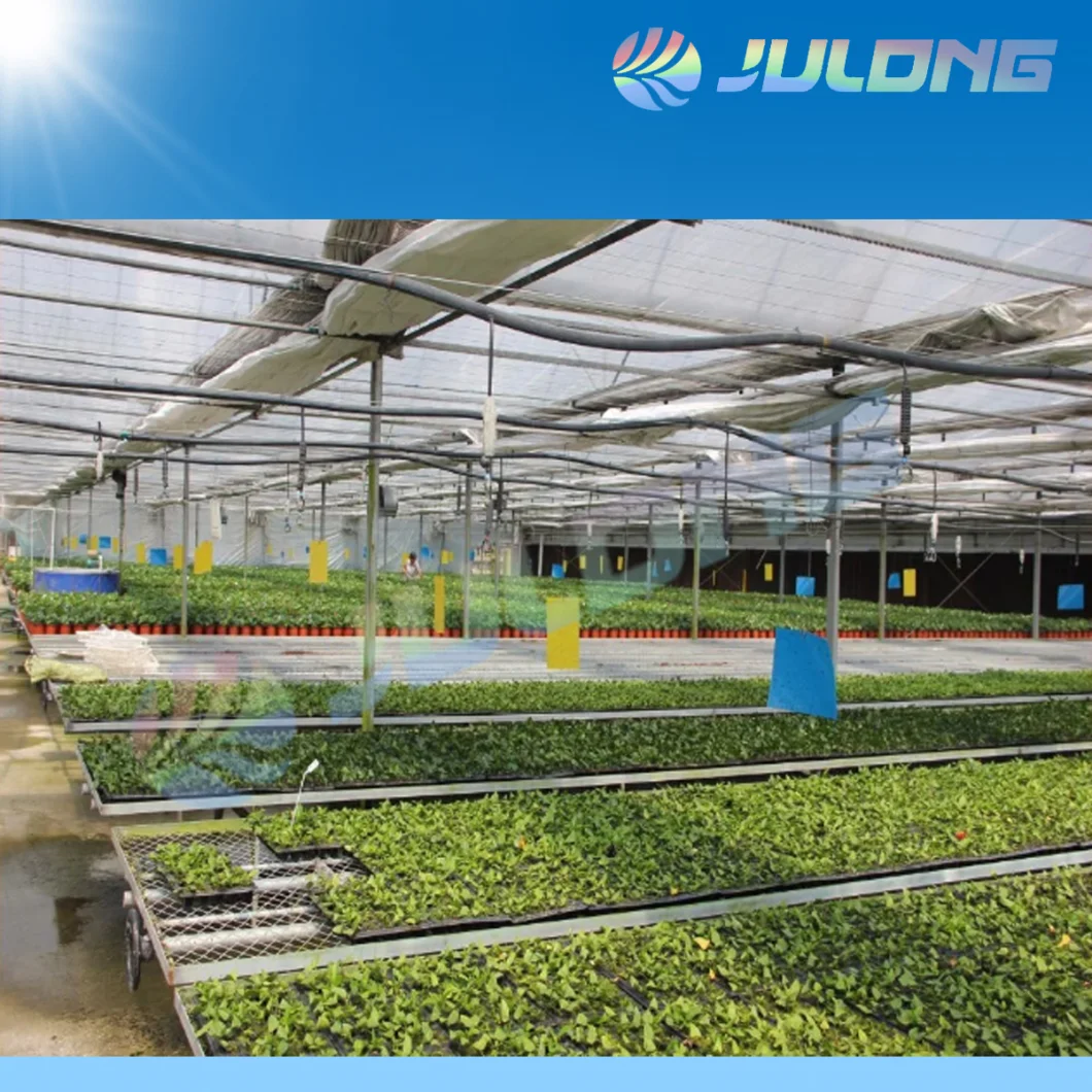 Multi-Span Agriculture Greenhouse Film Covering