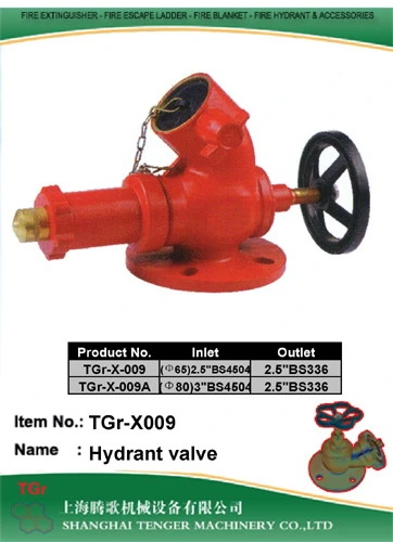 Brass Fire Hydrant Valve: BS336 2-1/2