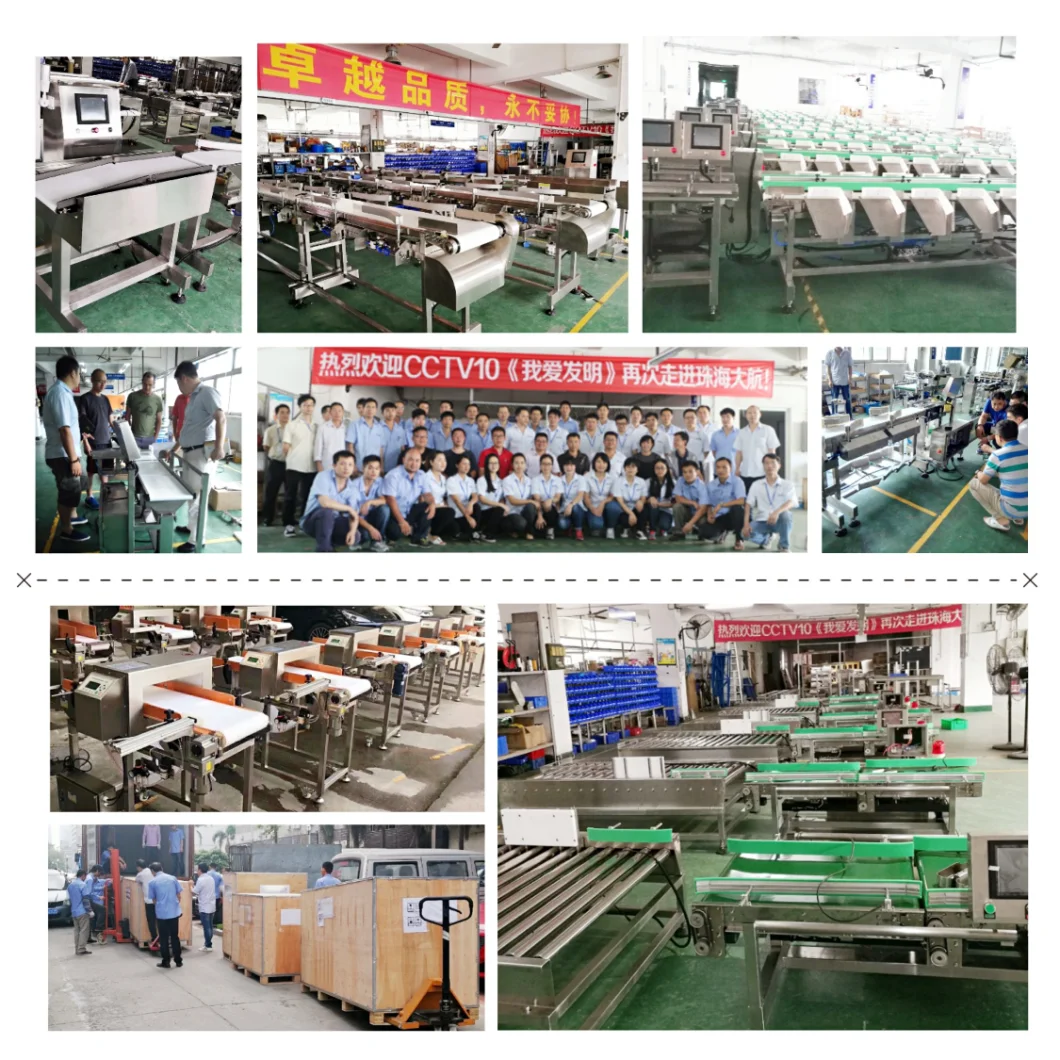 Weight Sorting Machine for Fishes/Oysters/Abalones with High Quality