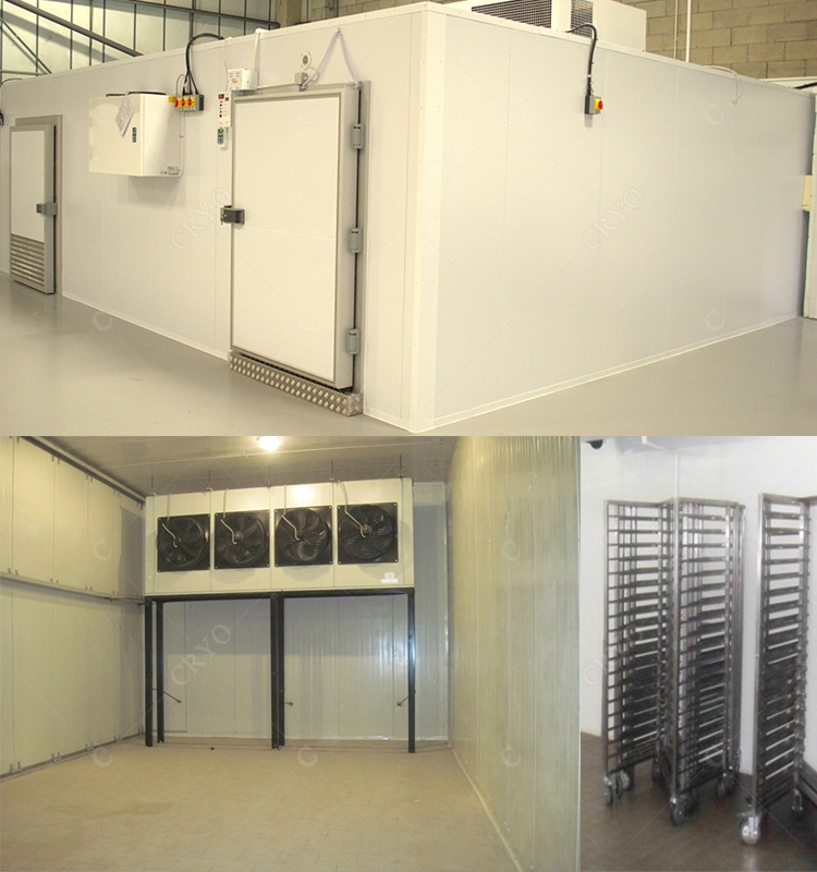 Scallop Sea Shell Flower 5000t Cold Storage Room Chiller Room Design Chicken Precooling Room