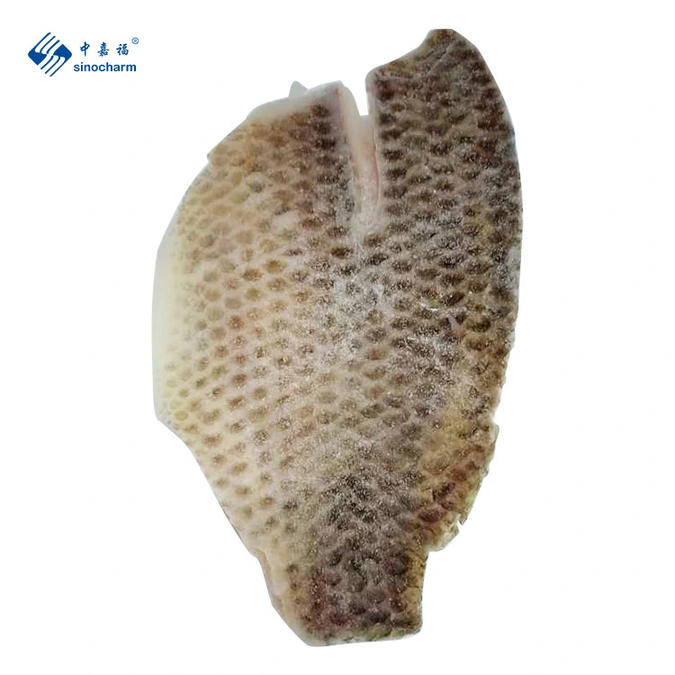 Niloticus Frozen Fish Seafood Black Tilapia Fillet Skinned From China