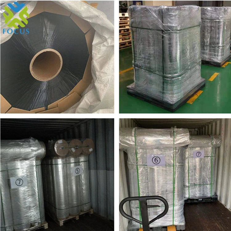 Aluminum Coating Pet CPP Protective Film for Food Packaging