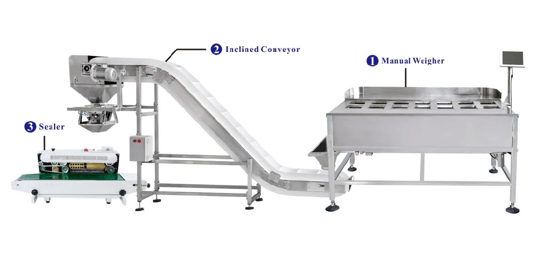 Jw-B21 14 Head Manual Weigher Packing Machinery for Frozen Chicken