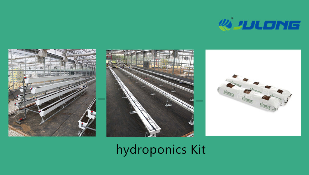 High Tunnel Multi-Span Greenhouse with 200 Micron Plastic Film Covering
