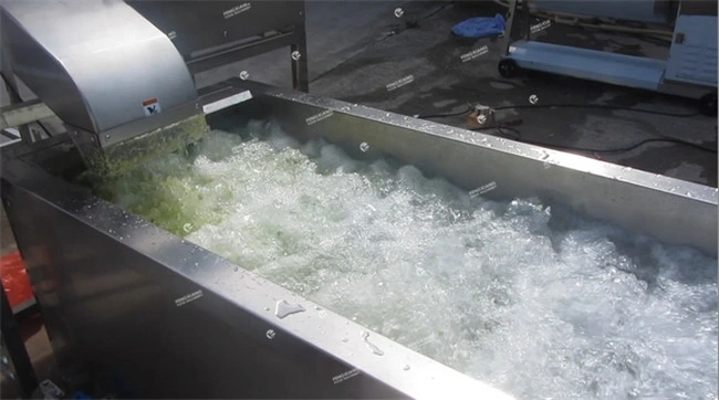 Full Automatic Frozen Vegetable Salad Production Line