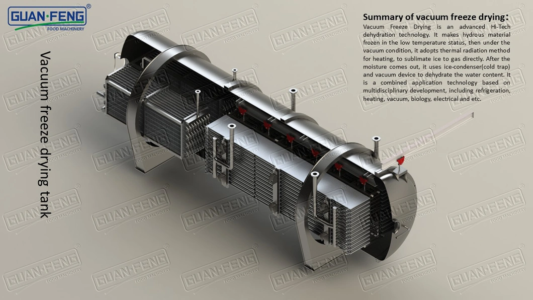 50m2 Vacuum Freeze Dryer for Freeze-Dried Herbs Processing Industry