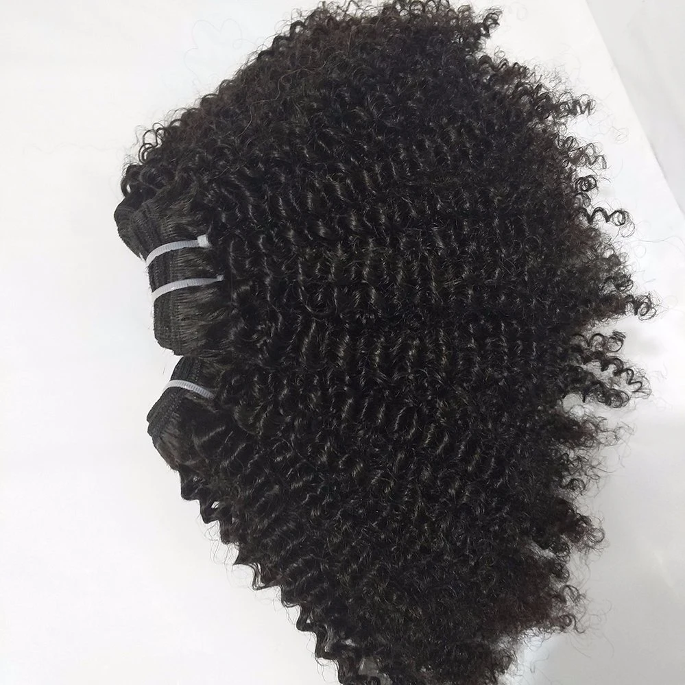 Brazilian Afro Kinky Curly Hair Virgin Remy Curly Hair Bundles