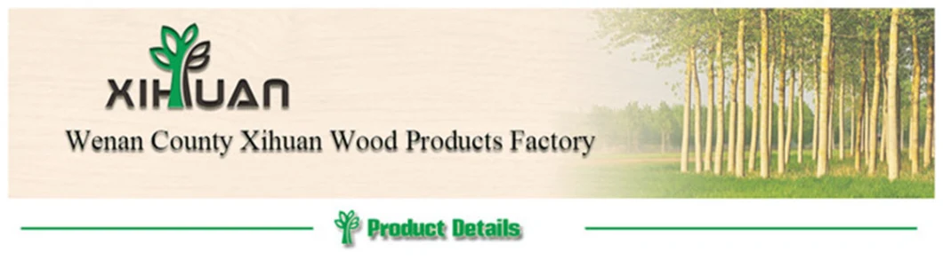 Poplar/Hardwood Waterproof Glue Finger Joint Core Film Faced Plywood