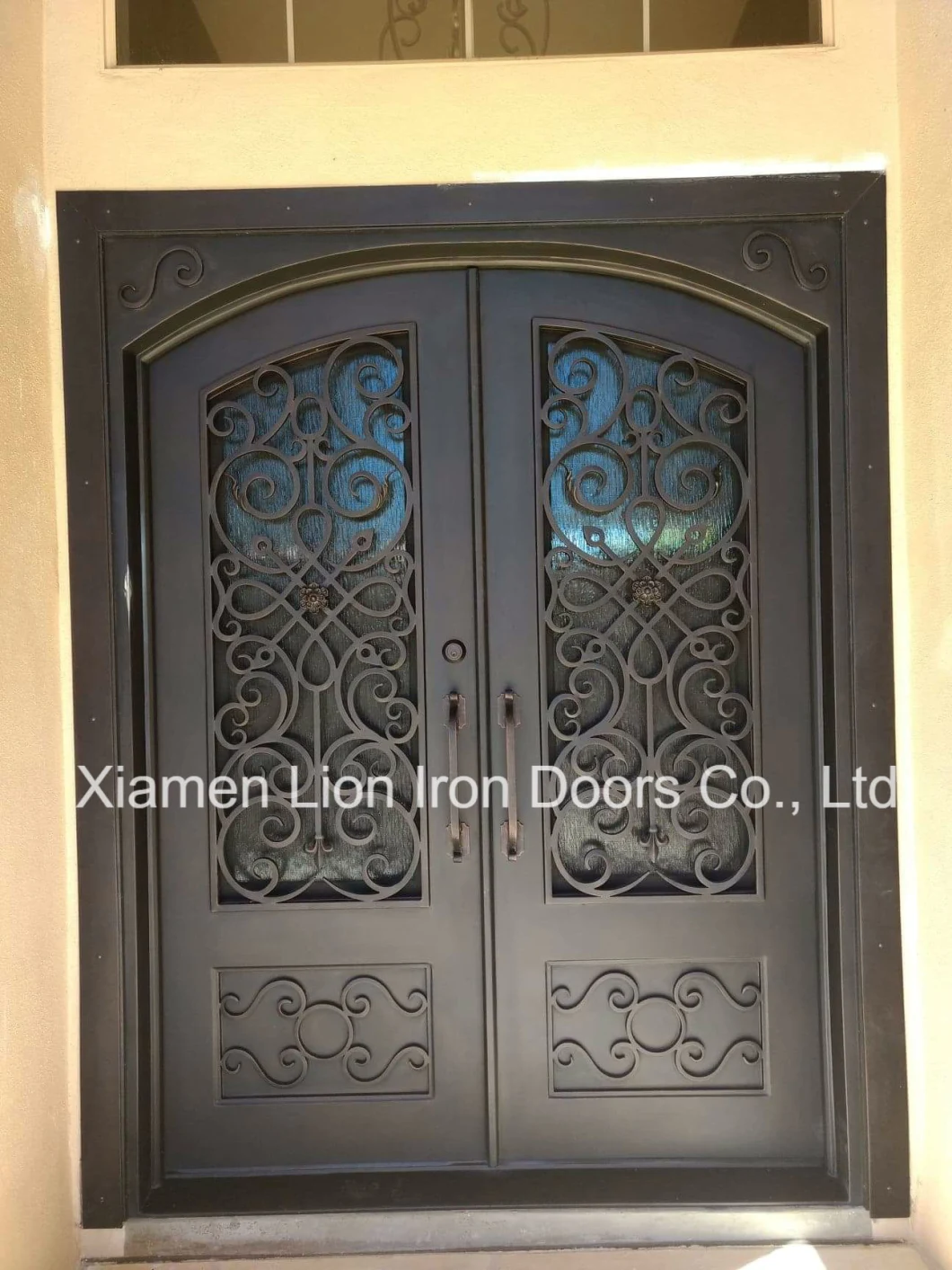 Lion Iron Doors Metal Glass Double Front Entry Doors Designs for House