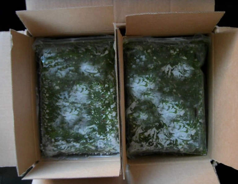 Seaweed Salad Frozen Wakame Origin From China Market