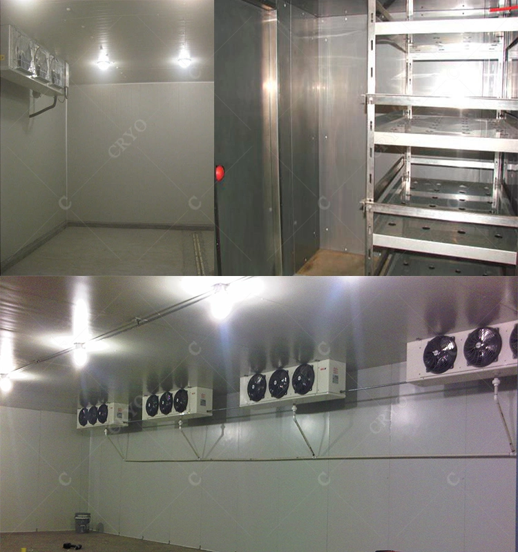 Frozen Ribbon Fish Frozen Crab Cold Room AC Cold Room Supplier Malaysia Mobile Freezer Room