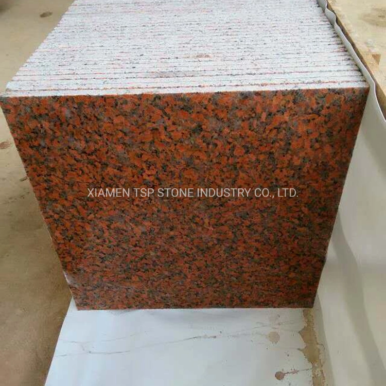 Natural Granite Stone Maple Red G562 Granite Flooring