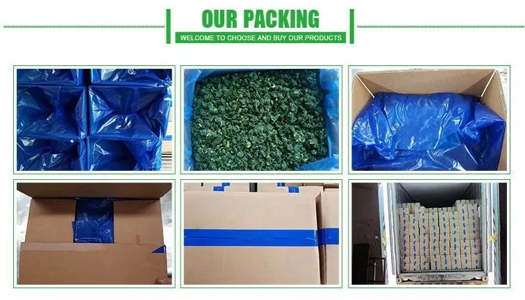 Exporting Chinese Fresh IQF Frozen Food Specification Boiled Spinach for Sale