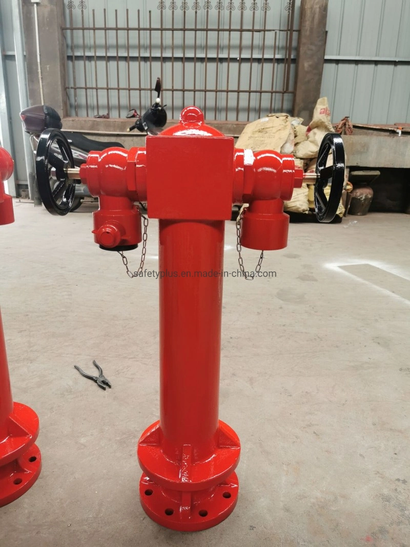 2.5'' Two Outlet Outdoor Pillar Fire Hydrant