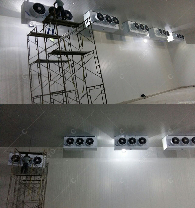 Ribbon Fish Frozen Fresh Salmon Basement Storage Room Cold Room Design Calculations Refrigerated Room
