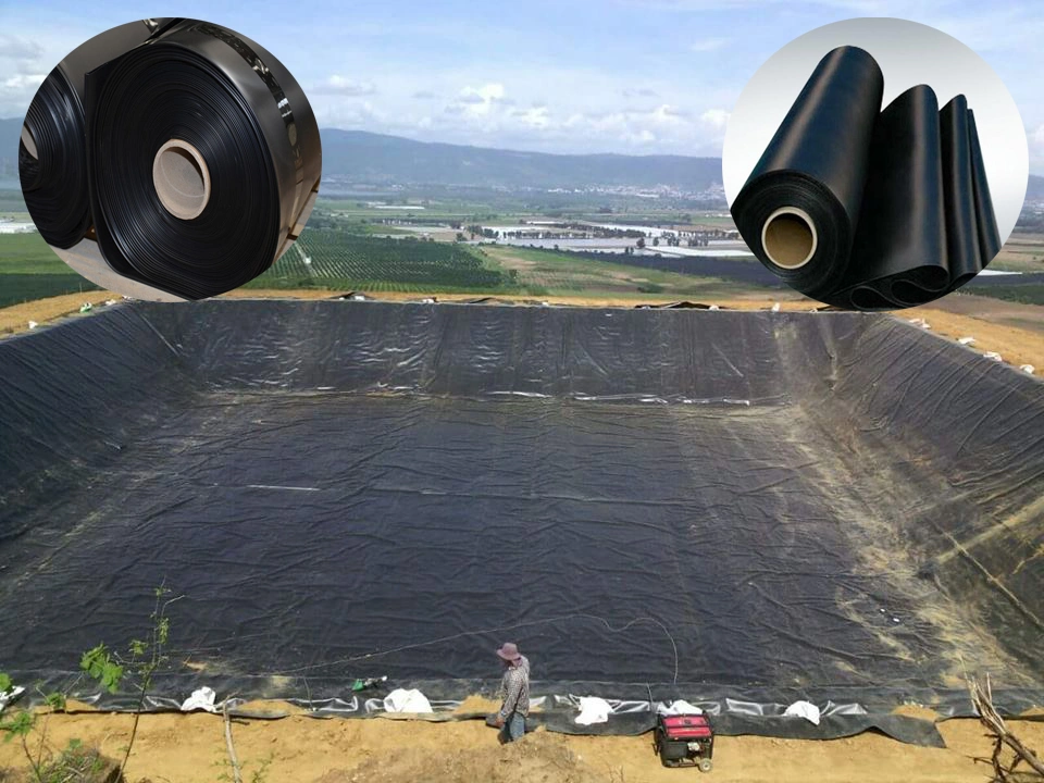 Black 50-200m/Roll HDPE Geomembrane for  Rainwater Collection  Factory Price