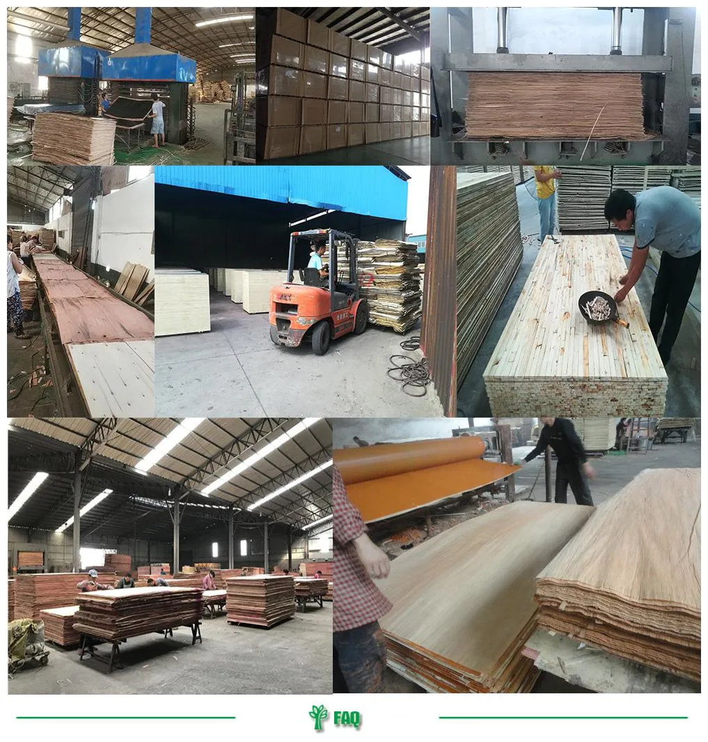 18mm WBP Poplar/Hardwood/Finger Joint/Anti-Slip/Waterproof Film Faced Marine Plywood Sheet for Construction