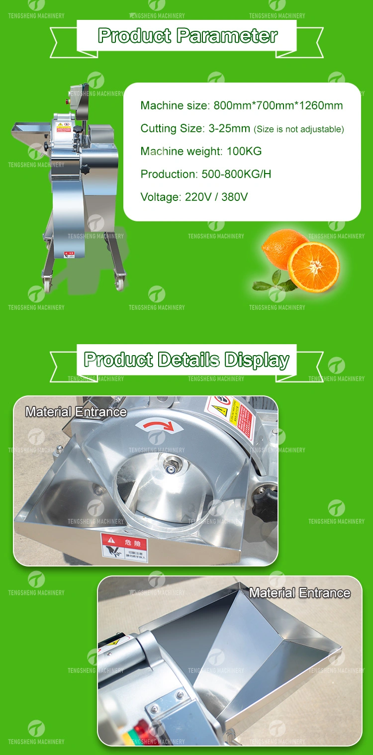 High Speed Food Processing Vegetable Cutter Pawpaw Mango Bell Pepper Bamboo Shoots Dicer Machine (TS-Q180)