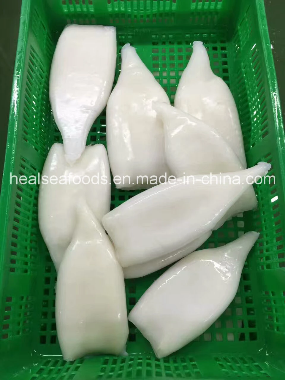 Supply U5 U7 U10 Frozen Illex Squid Tube