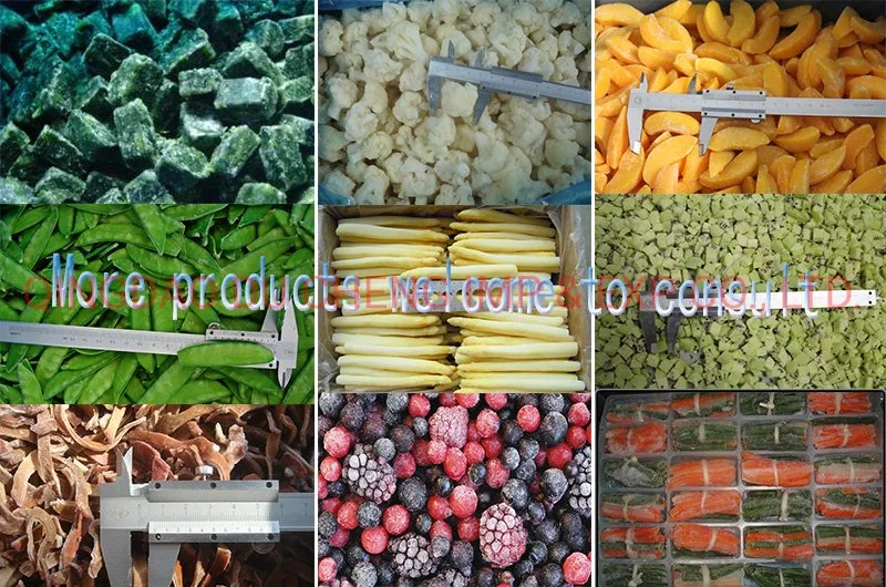 Seasoned Exporting Quality Wholesale Price IQF Vegetables Frozen Carrot Diced/Slices/Strips