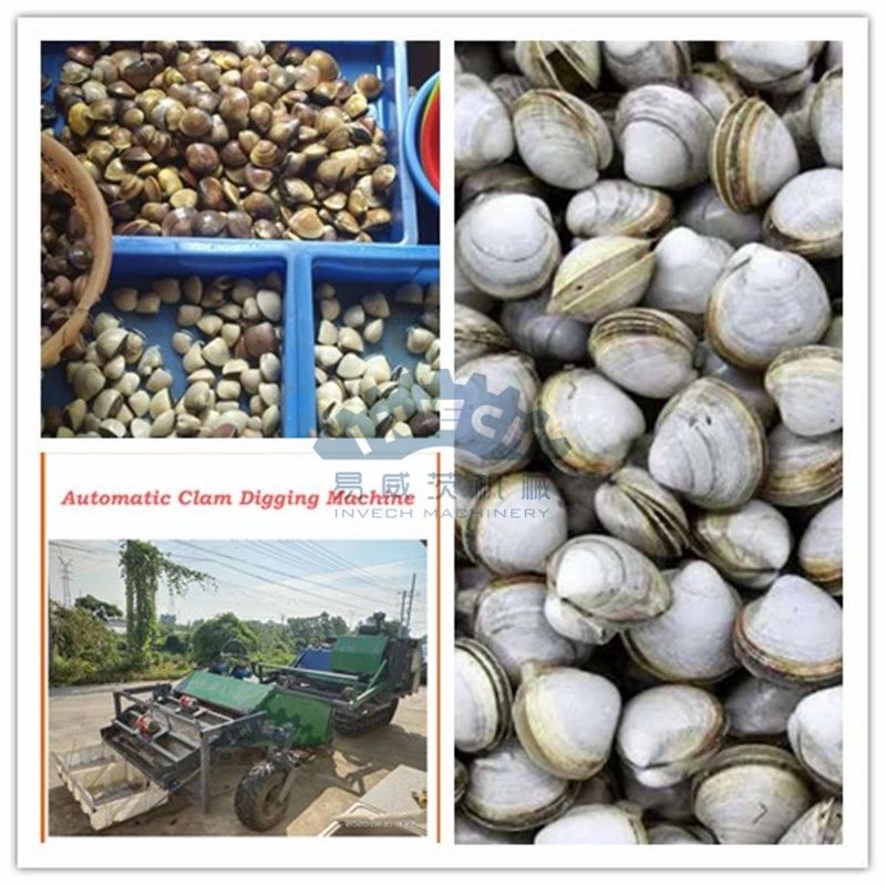 Clams Harvester China Manufacture