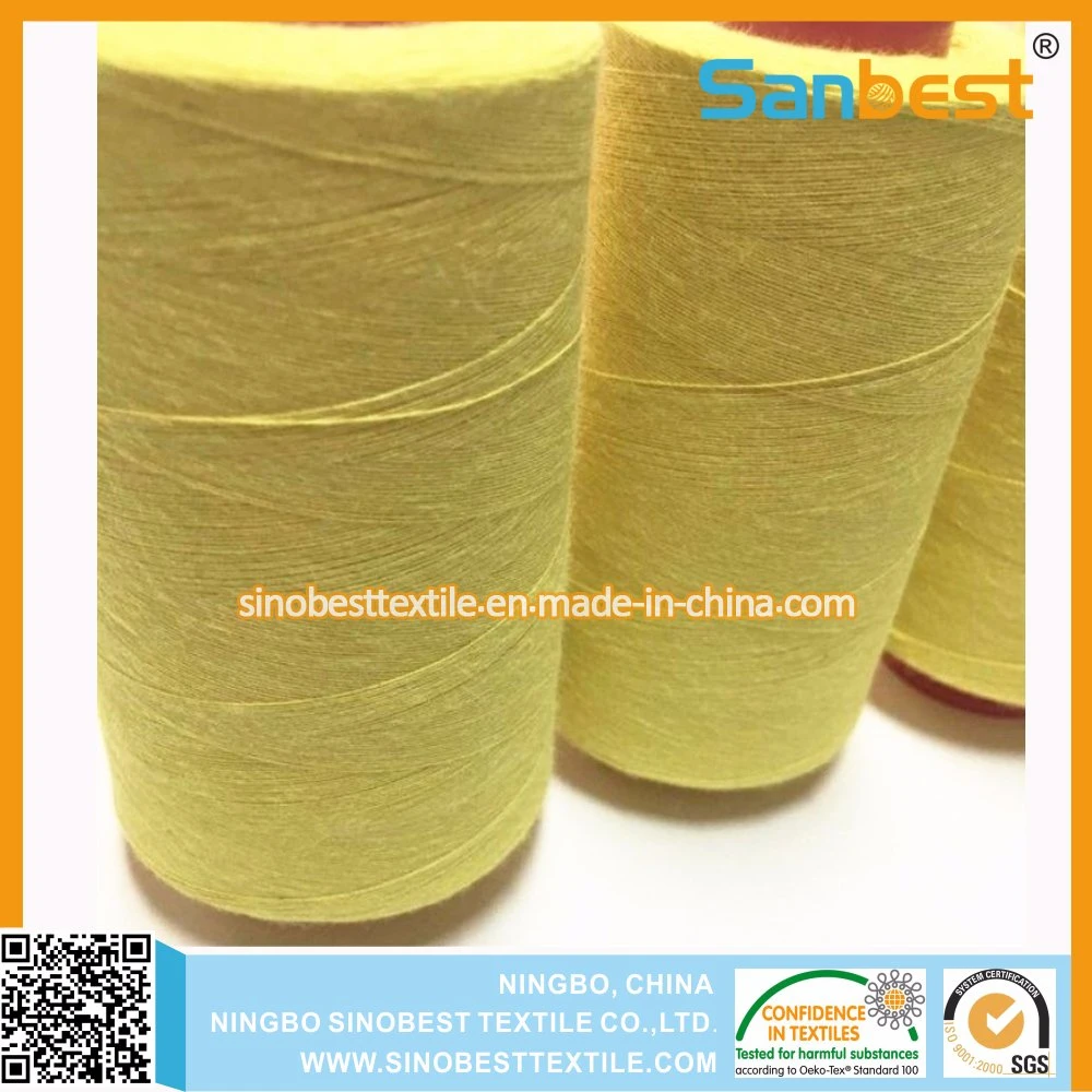 100% Fire-Retardant Sewing Thread for Protection Suit with High Quality