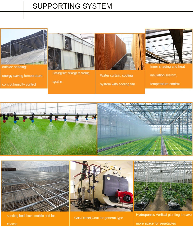 Agriculture Plastic Double Window Roof Covering Film Side Polycarbonate Greenhouse for Vegetable
