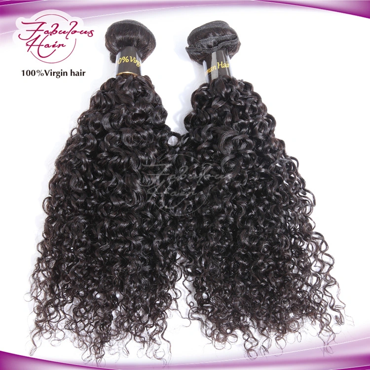 Curly Virgin Human Hair Unprocessed Curly Hair Bundles