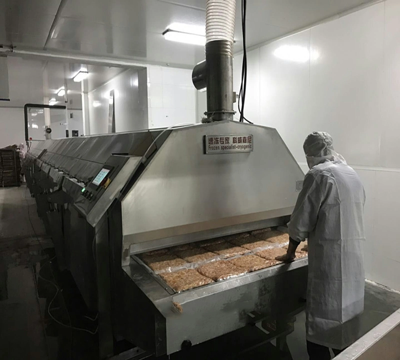 IQF Tunnel Freezer for Frozen Fish Fillet