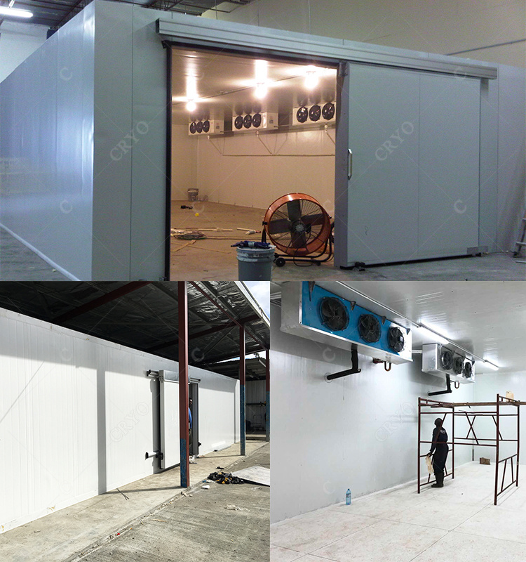 Capocollo Frozen Salmon Modular Coolroom Blast Freezer Cold Room Cold Storage Compressor