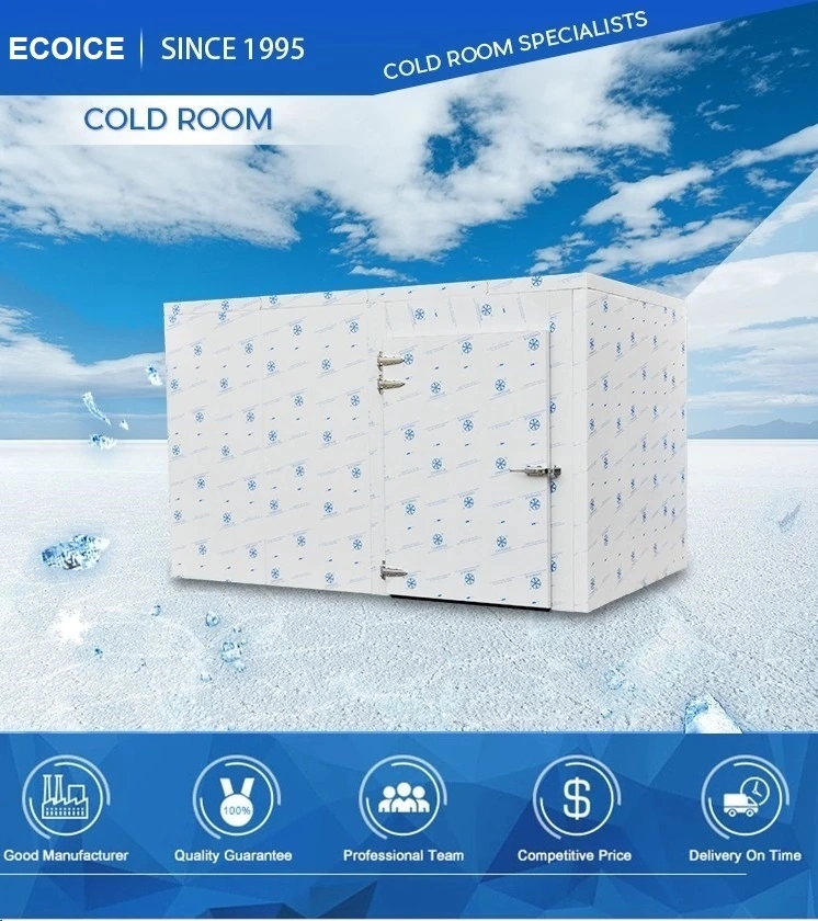 Cold Room Freezer with Bizter Compressor for Fish and Frozen Shrimp Cold Room