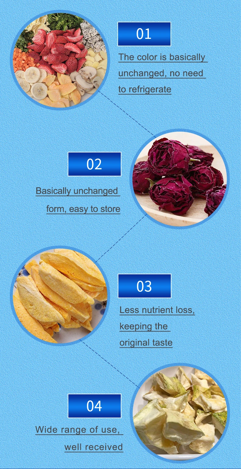 100kg Industrial Freeze-Dried Fruit /Food /Juice Vacuum Freeze Dryer