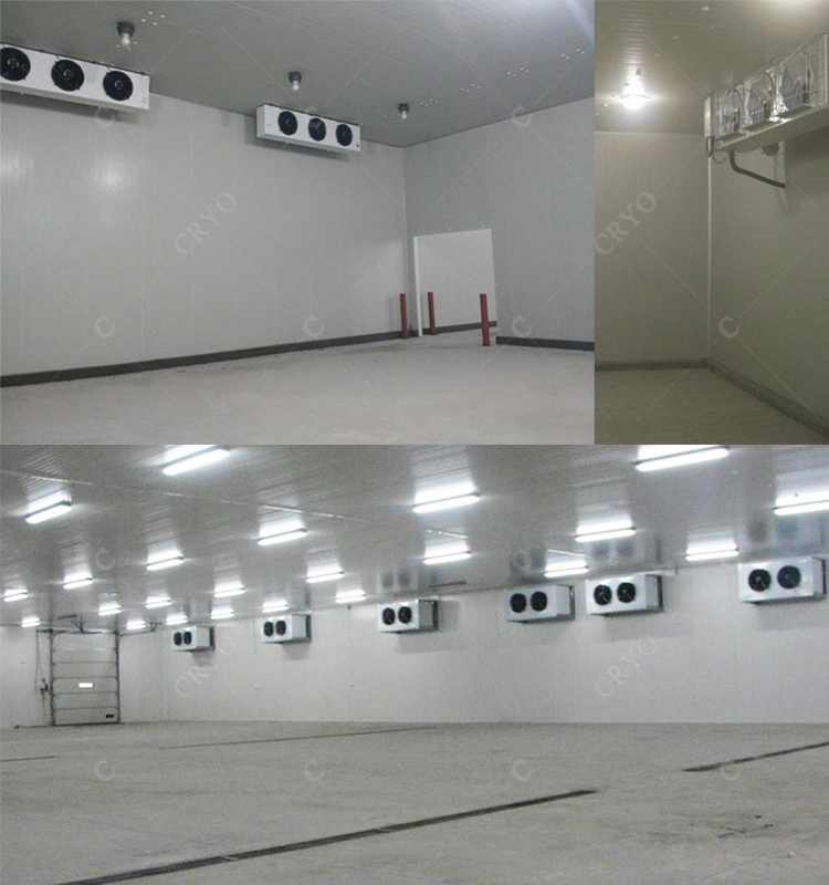 Frozen Rabbit Wholesale Frozen Seafood Cold Room Production Cold Storage Salad Cold Storage Warehouse Construction