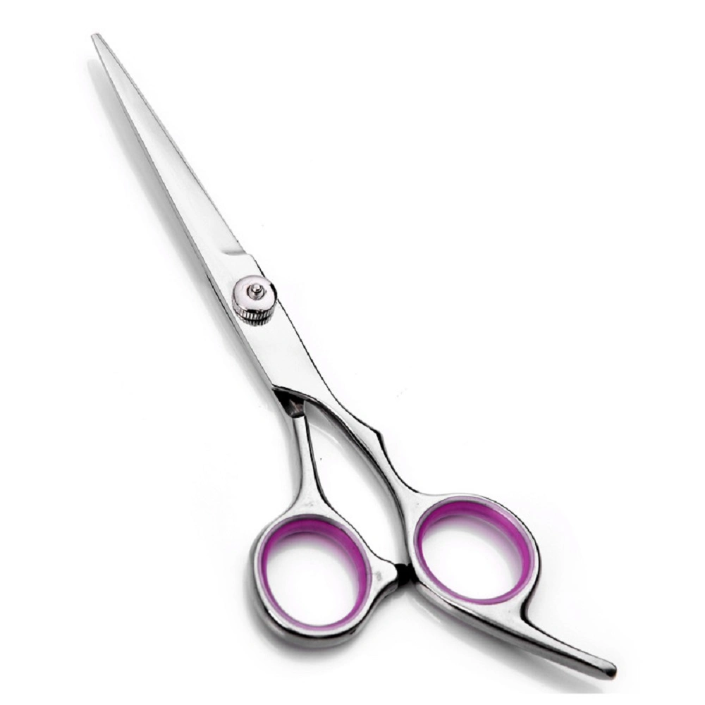 Hairdressing Scissors, Professional Salon Hair Cutting Thinning Scissors Barber Shears Hair Cutting Tools Set with Black Case, Apriller (Silver) Esg10293