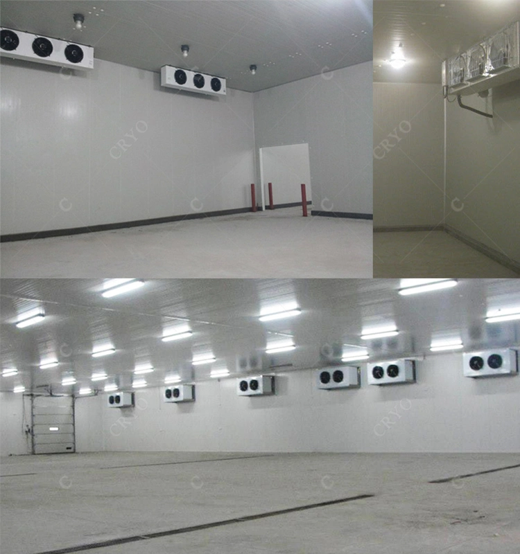 Crab Meat Frozen Buffalo Meat Potato Walkin Freezer Cold Storage Room Insulation Panel Cold Room Project