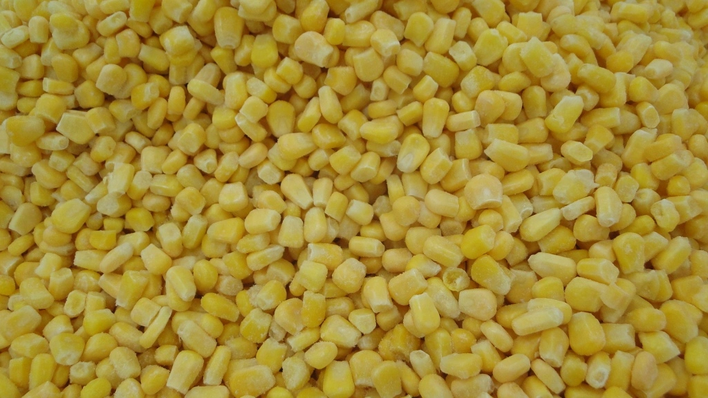 New Crop Frozen Type IQF Sweet Corn Cobs Frozen Whole Sweet Corn Kernel