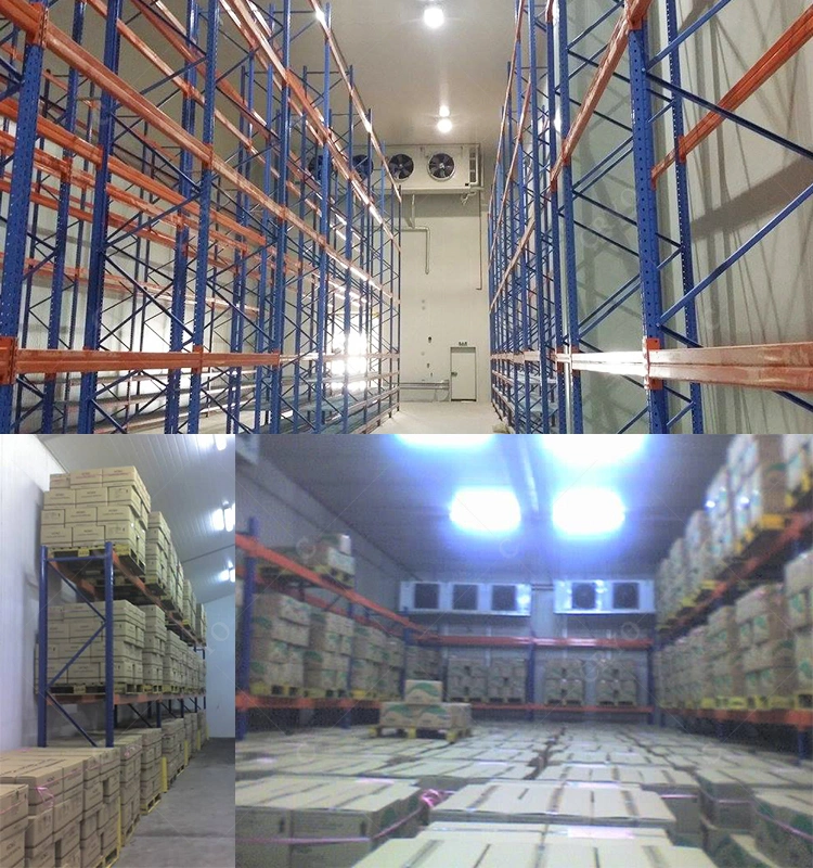 Frozen Rabbit Wholesale Frozen Seafood Cold Room Production Cold Storage Salad Cold Storage Warehouse Construction