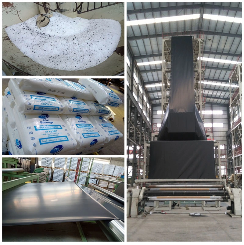 Black 50-200m/Roll HDPE Geomembrane for  Rainwater Collection  Factory Price