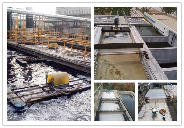 Domestic Sewage Treatment Project Conduction