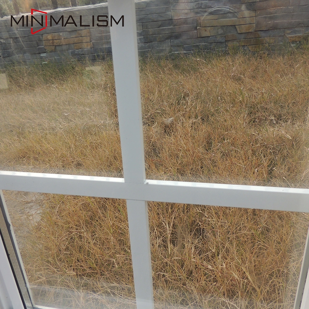5 Inch Sliding Glass Commercial Aluminum Windows with Screen Net