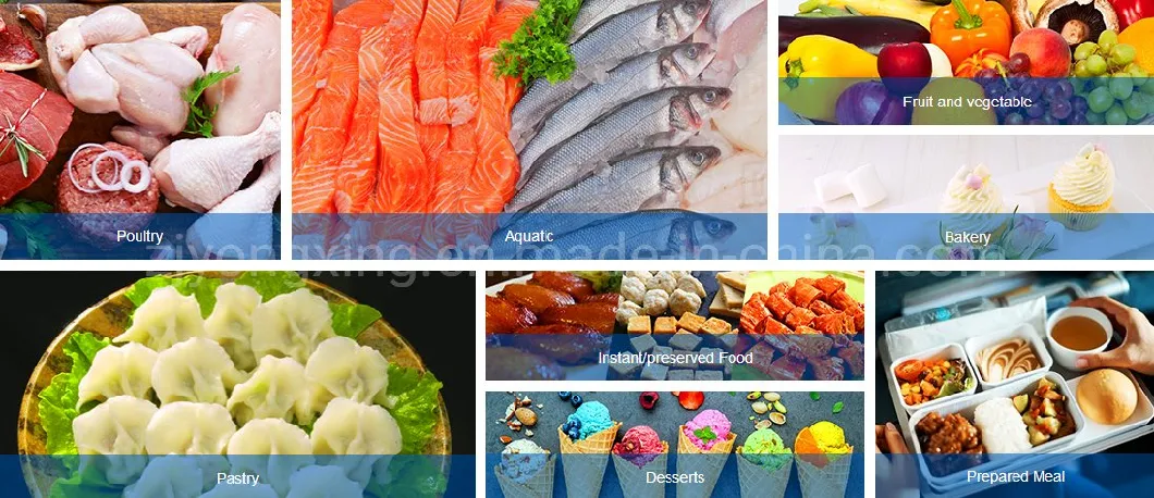 New Condition IQF Spiral Blast Freezer for Frozen Fish Fillet with High Efficiency