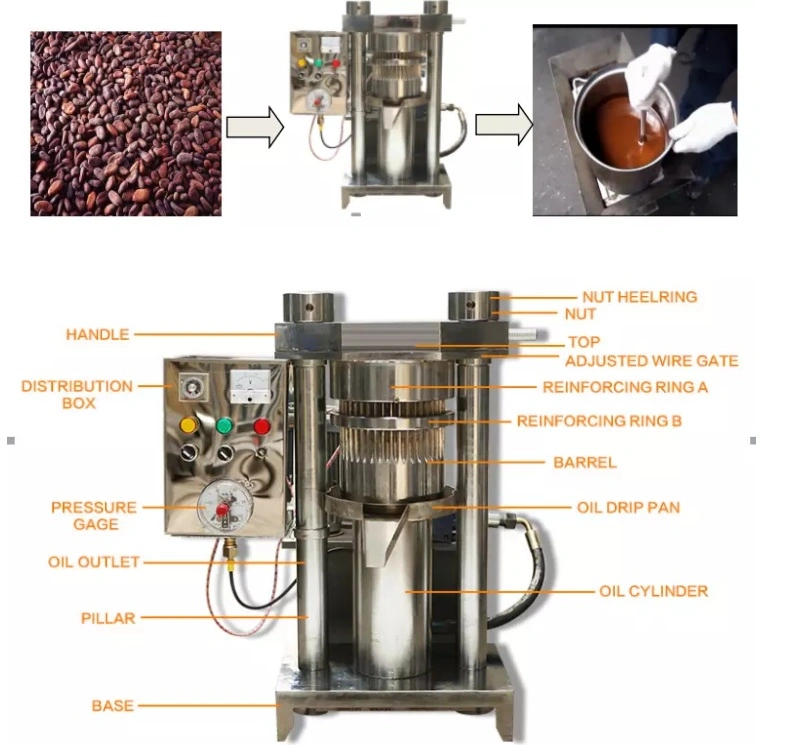 Hydraulic Cold Oil Presser Extractor Walnut Cocoa Sesame Oil Filter Press Equipment Machine