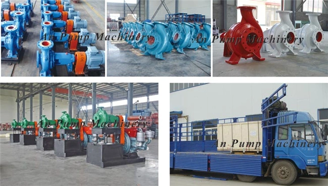 Electric Motor Irrigation Cast Iron Clean Water Electric Surface Pump